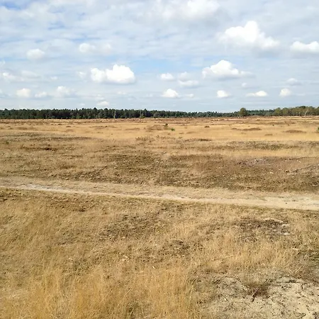 Op Het Vurige Ros